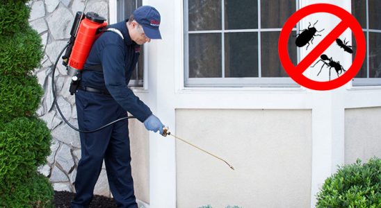 Göksun Kene İlaçlama böcek ilaçlama ve haşere kontrolü — ilaclama-tr.com